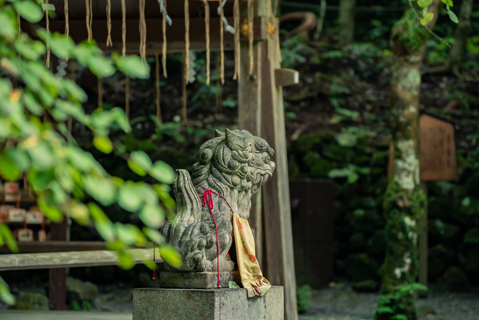 The Top 10 Hidden Gems in Kyoto